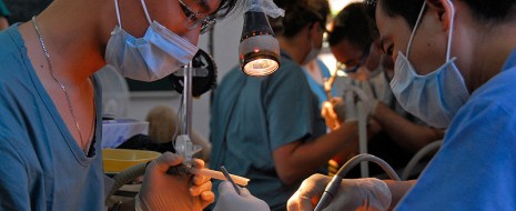 Medical Professionals – How to Join Doctors, nurses, dentists, chiropracters, EMTs, RNs, and other health professionals. Several of you have expressed an interest in a professionals-only site, to address issues of medical preparedness possibly unsuited to...