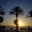 Medicine for a Desert Isle . . . or the End of the World Going on vacation soon? Or expecting the end of the world, perhaps? If I moved to a desert island, what medicine would I, a family physician, take with me? It’s...