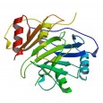 New Deadly Virus . . . just when you think we’ve seen them all Severe fever with thrombocytopenia syndrome (SFTS) – quite a mouthful. This week’s Journal of the American Medical Association included a few paragraphs on this newly identified infection, caused by a...