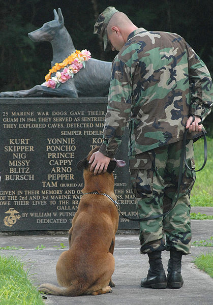 419px-Monument_to_Doberman,_Military_Working_Dog_(MWD),_World_War_II_Memorial,_War_Dog_Cemetery__Navel_Base_Guam