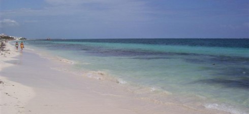 Listen live Tuesday, January 31, 2012 from 9:30 to 10:00 Eastern at www.NewsDaytonaBeach.com as Doc Cindy discusses Armageddon Medicine with host Judy Mercer. To listen on the web, click Listen Live  (black letters,...
